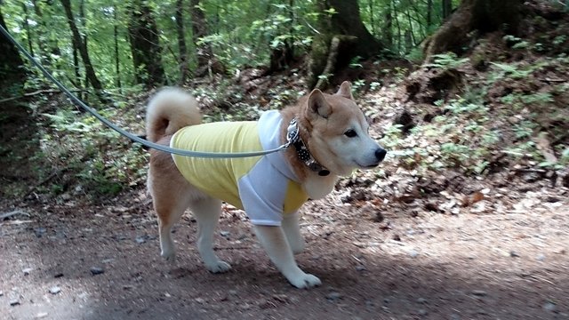 b0274270_10435355.jpg
