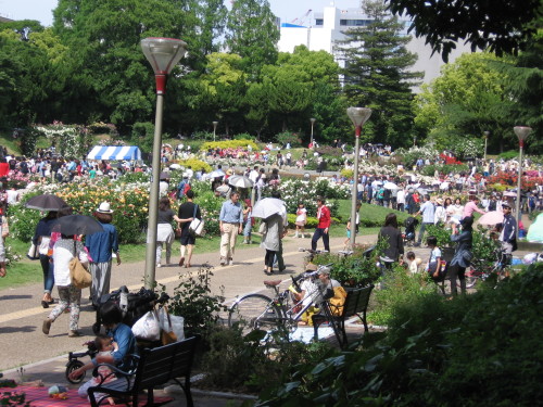 f0259373_10094636.jpg