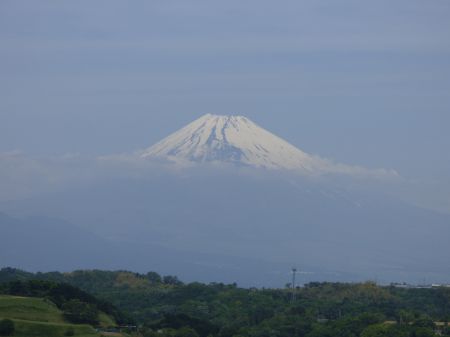 2014年5月20日 ムギイカ_b0098584_9101151.jpg
