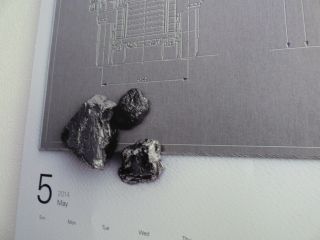 2014年5月20日 ムギイカ_b0098584_925426.jpg