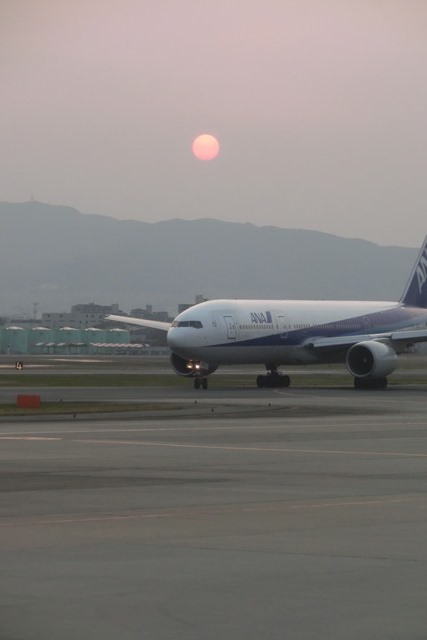 安倍総理集団的自衛権行使成るか、集団的自衛権で自民党と公明党の今後、安部総理橋本徹維新の会連携を_d0181492_2126013.jpg