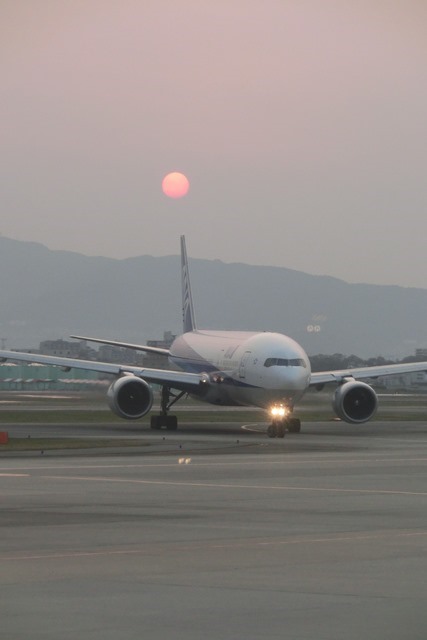 安倍総理集団的自衛権行使成るか、集団的自衛権で自民党と公明党の今後、安部総理橋本徹維新の会連携を_d0181492_21261894.jpg