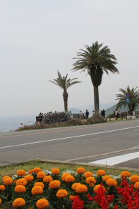 f0056297_8221012.jpg