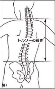 大型ザックのフィッティング見直し作業！_c0147398_19243215.jpg