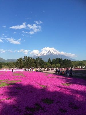 ジジ　ババ　子供　と　わんこの　旅 ♪　　その１_a0134004_14591949.jpg