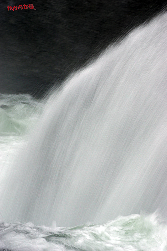 b0134907_834272.jpg