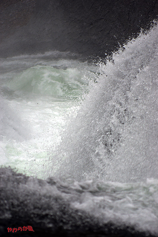 b0134907_8351713.jpg