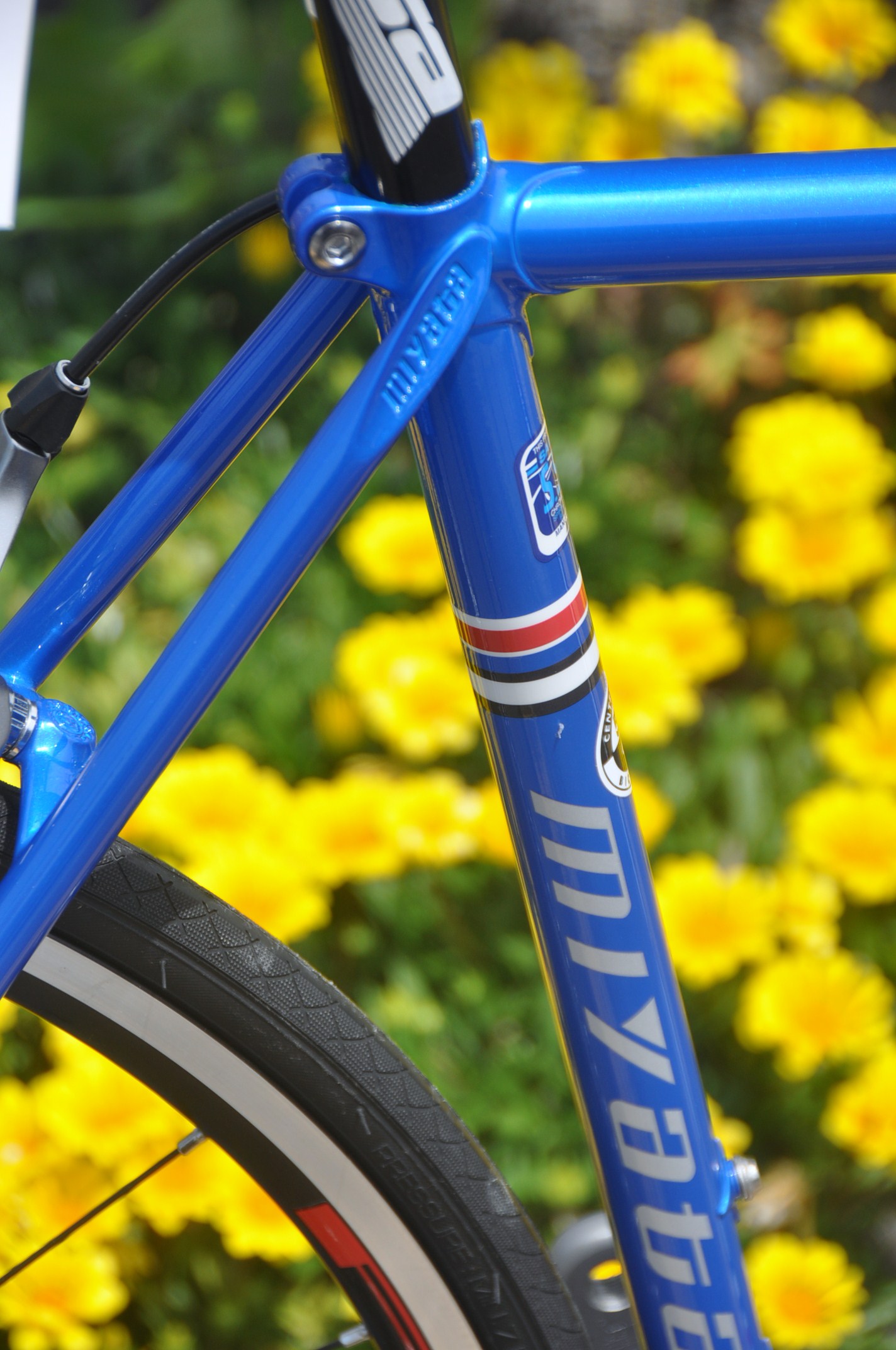 MIYATA  LS_b0246207_16384880.jpg