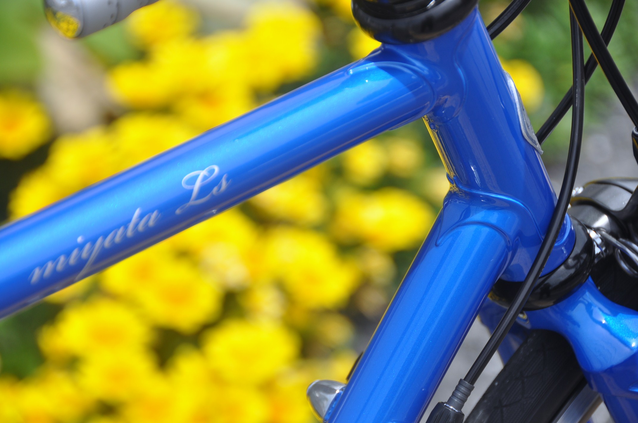 MIYATA  LS_b0246207_16390796.jpg
