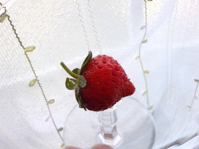 f0024708_57392.jpg