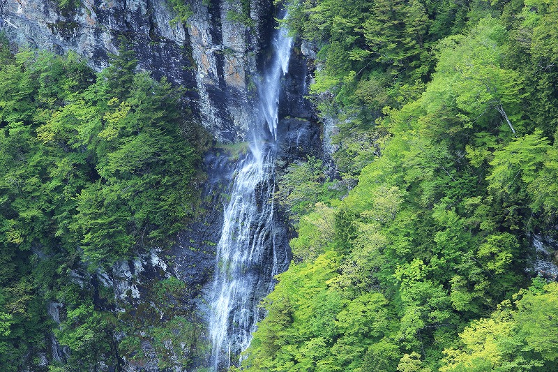 b0229909_1904270.jpg