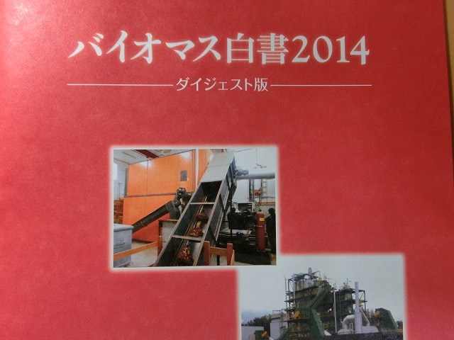 「木質バイオマスを活用した発電と熱供給」 富士地域ではどうだろうか?_f0141310_7324959.jpg