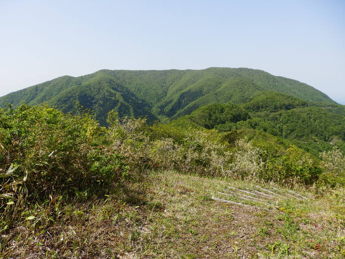 f0219710_73507.jpg