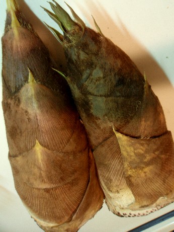 f0043911_03212.jpg