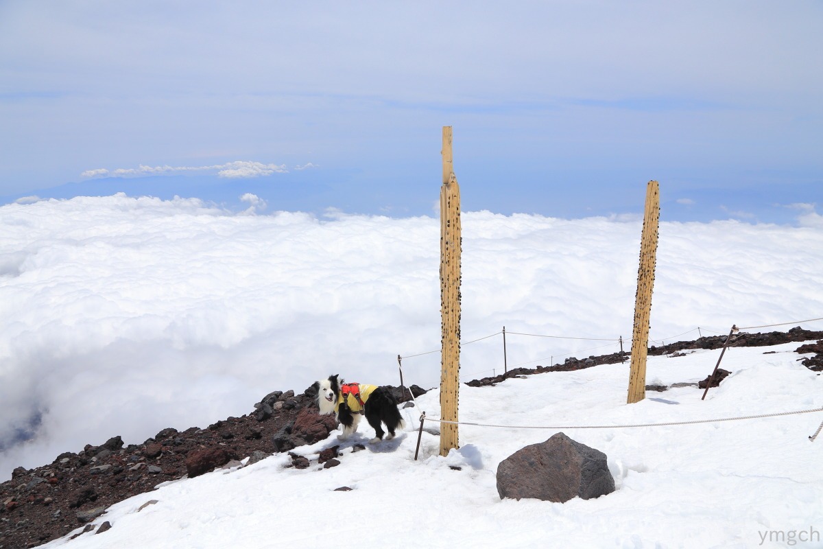 初めての積雪期富士登山 （２）_f0157812_1223781.jpg