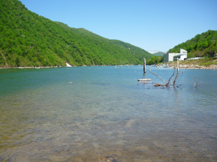 魚沼の釣り　ゴールデンシーズン到来_c0232813_00261984.jpg