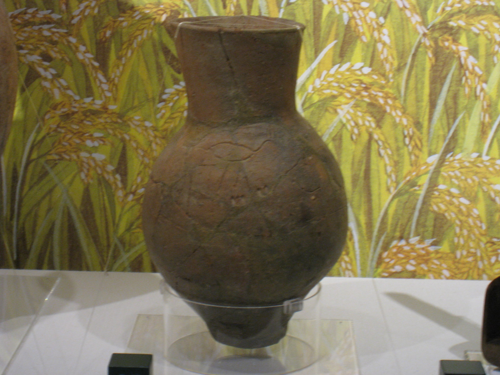d0287413_1174459.jpg