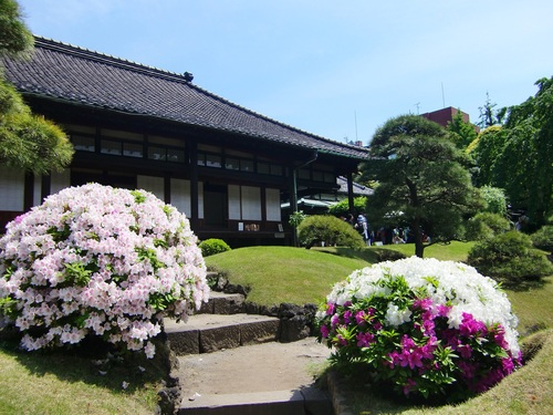 浅草寺 伝法院（東京都台東区）_c0219820_20263116.jpg