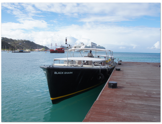 東カリブ海クルーズ(16) マホ・ビーチへの行き方_d0210324_6425030.jpg