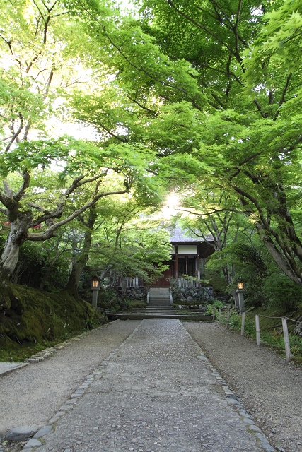 新緑の嵯峨野巡り －常寂光寺 境内（後編）－_b0169330_22421858.jpg