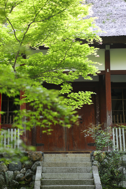 新緑の嵯峨野巡り －常寂光寺 境内（後編）－_b0169330_22423277.jpg