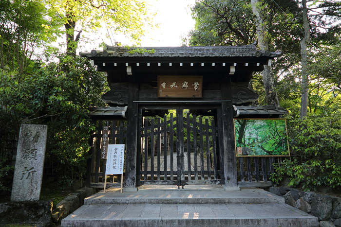 新緑の嵯峨野巡り －常寂光寺 境内（後編）－_b0169330_2244121.jpg