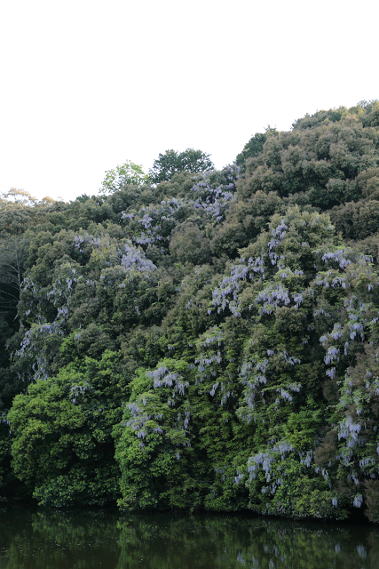 新緑の嵯峨野巡り －常寂光寺 境内（後編）－_b0169330_23325610.jpg