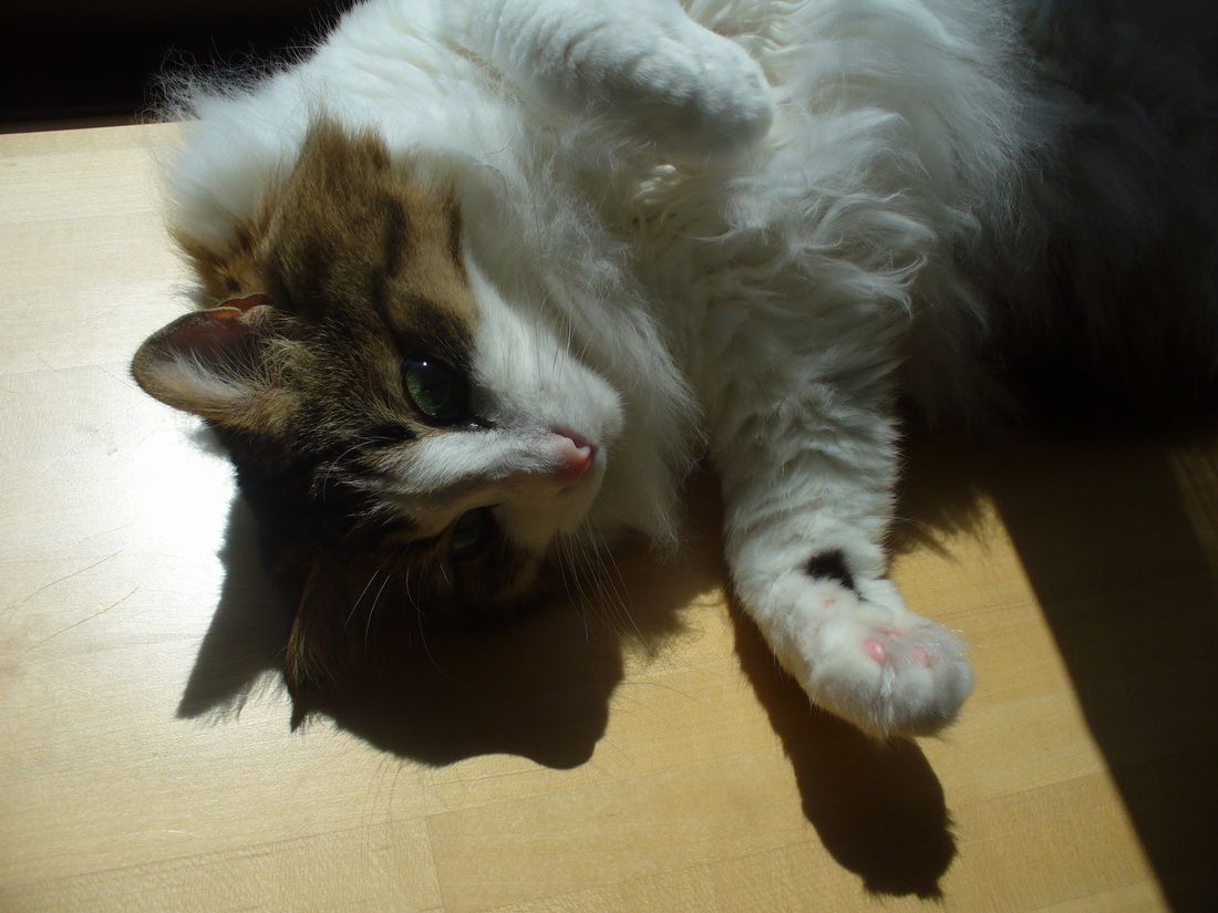 あっ、あっ、あぁ~・・・・_f0275632_2247545.jpg