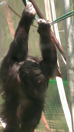 a0284956_1645998.jpg