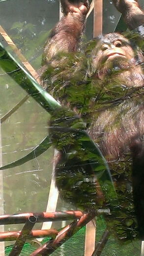 a0284956_1691210.jpg