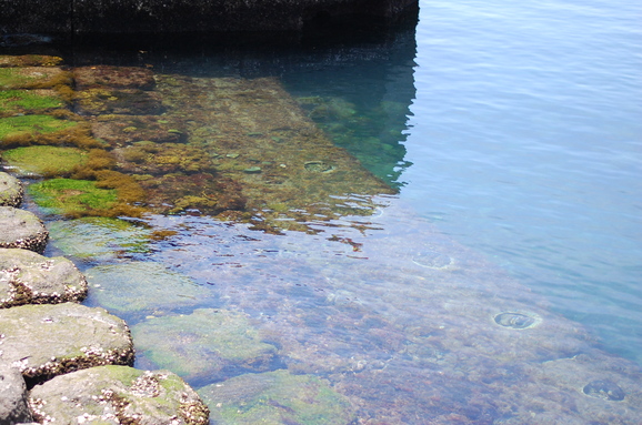 f0176860_5561227.jpg