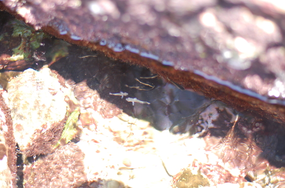 f0176860_556491.jpg