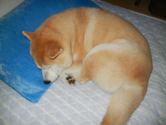 ’14,5,21(水)大雨の中ずぶ濡れに~!_f0060461_10465352.jpg