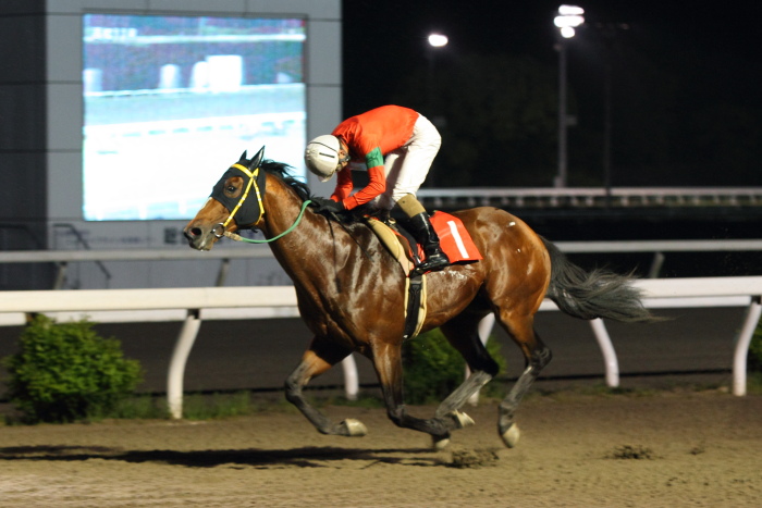 雑賀正光調教師、地方通算勝利2300勝達成!!_a0077663_18565552.jpg