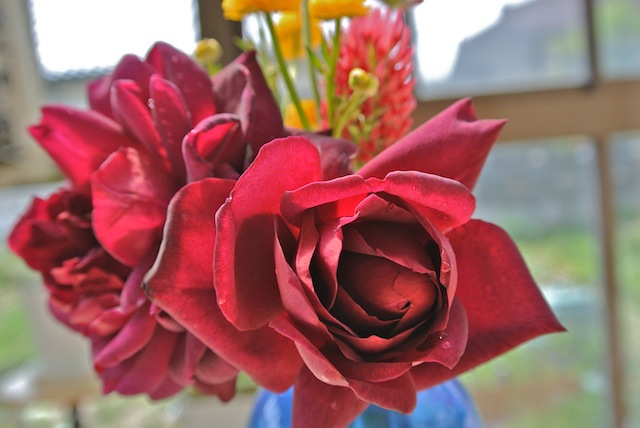 c0246168_16403171.jpg