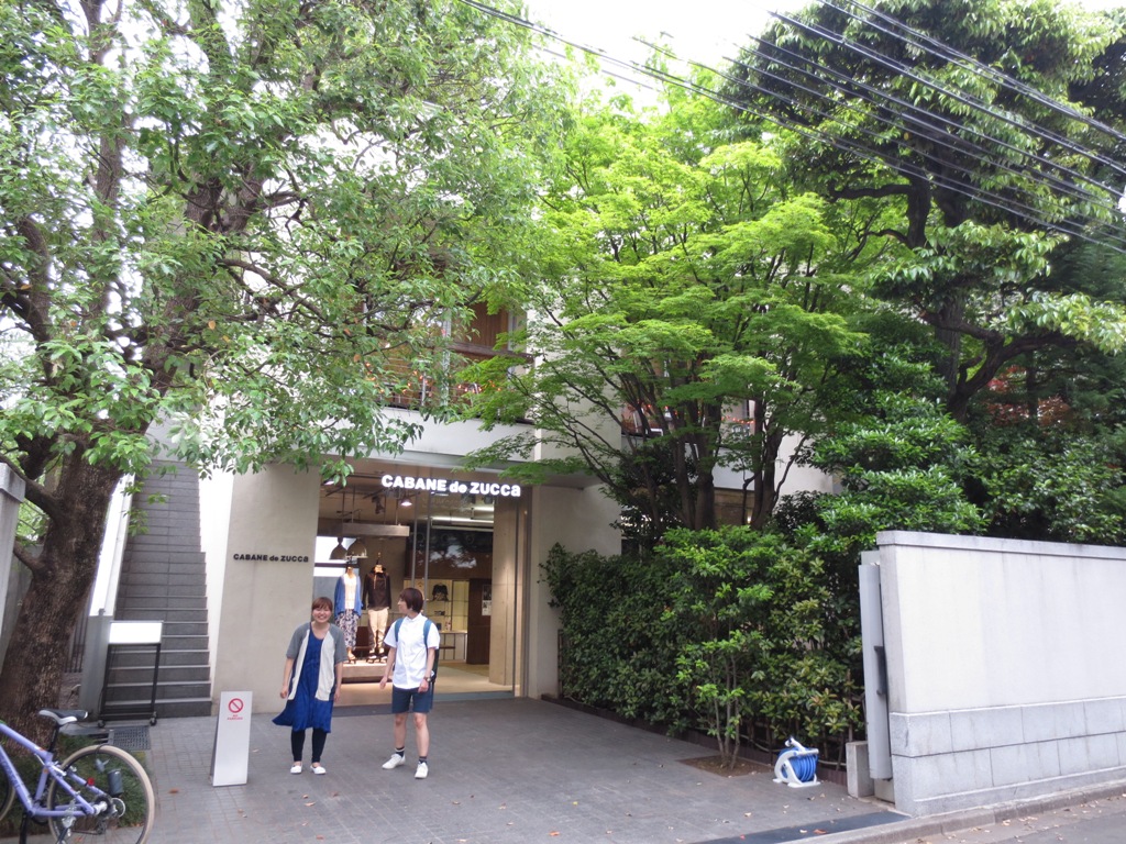 緑に彩られた街並み@南青山_c0310571_09182510.jpg