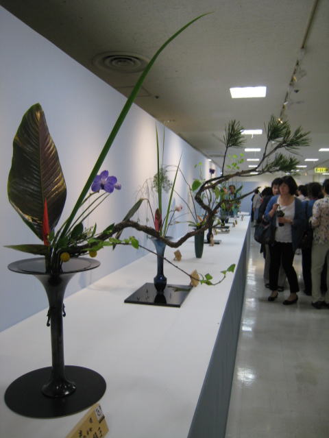 池坊全九州連合花展_b0189573_20203896.jpg