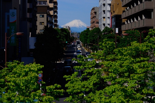 b0190576_029224.jpg