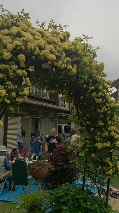 f0071477_834682.jpg