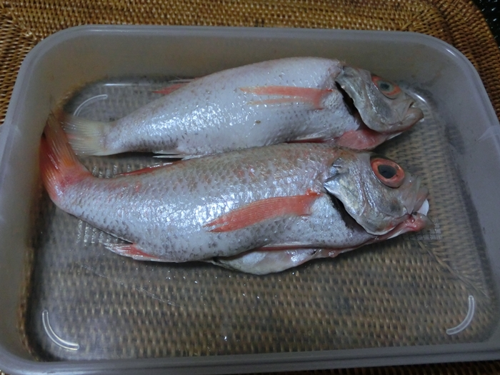 お陰さまで豪華ディナー!!_a0199979_19343071.jpg
