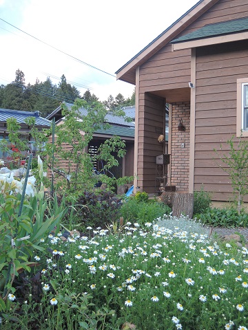 5月末…(ーー゛)_a0211886_2224158.jpg