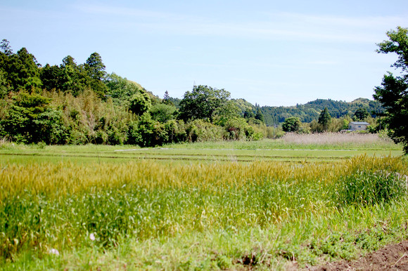 c0254488_94992.jpg