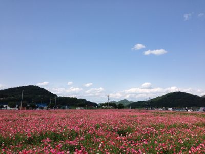 c0139090_23495396.jpg