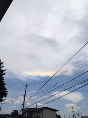 諸説あります_a0134394_6234299.jpg