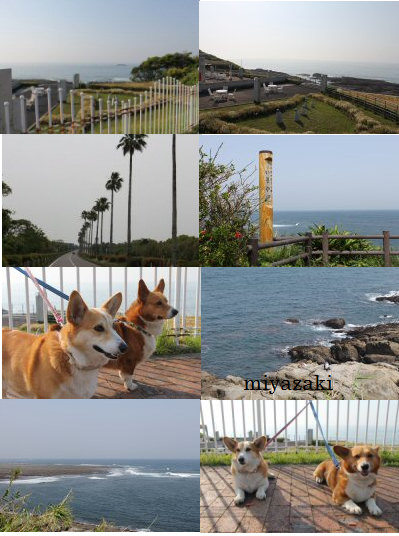 f0056297_7513995.png