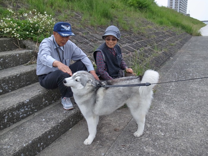 白いふわふわ 犬連れへんろ 二人と一匹のはなし