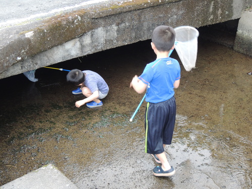 田植えの準備も整って_f0143299_1254867.jpg