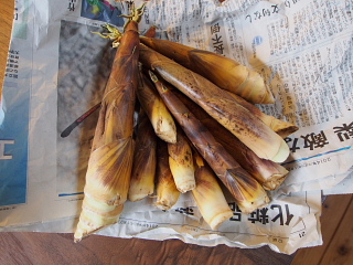 c0039501_1112083.jpg