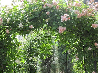 c0152002_20370611.jpg