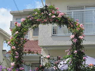 c0152002_20384092.jpg